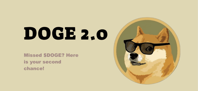 Shiba blog image